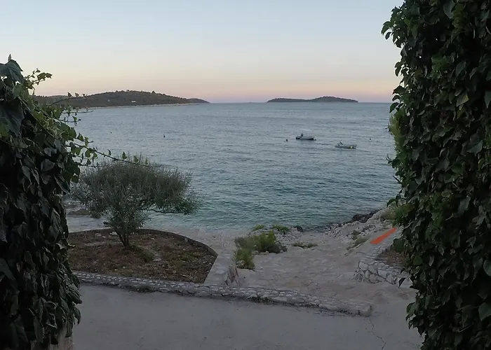 Leona Rogoznica (Sibenik-Knin)